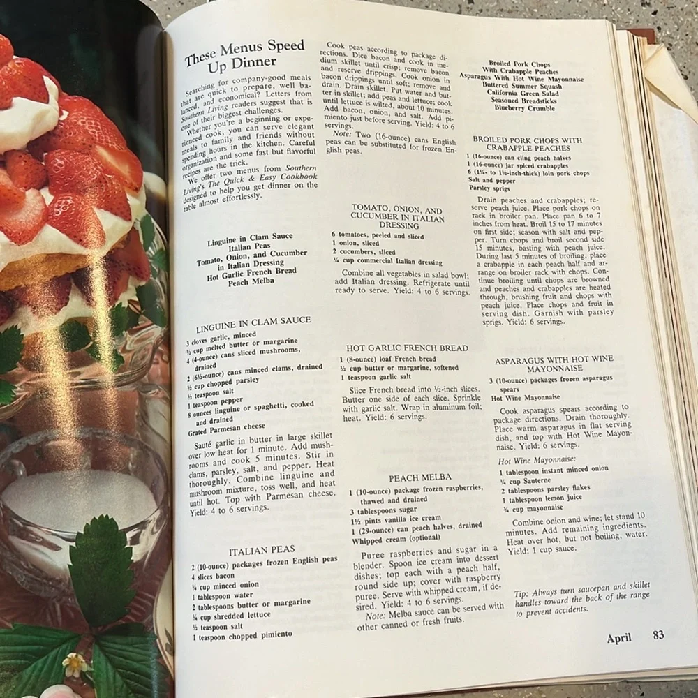 VINTAGE SOUTHERN LIVING 1981 ANNUAL RECIPES HARDCOVER COOKBOOK